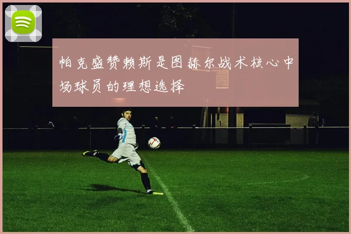 帕克盛赞赖斯是图赫尔战术核心中场球员的理想选择