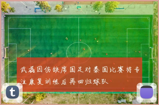 武磊因伤缺席国足对泰国比赛将专注康复训练后再回归球队